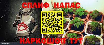 прущие крисы Бузулук