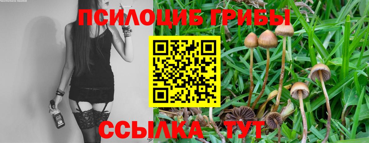 Галлюциногенные грибы Cubensis  Вход с VPN  Пенза 